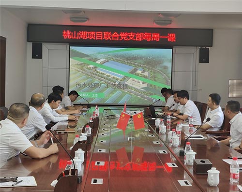 七臺河市桃山湖項目聯合黨支部每周一課活動