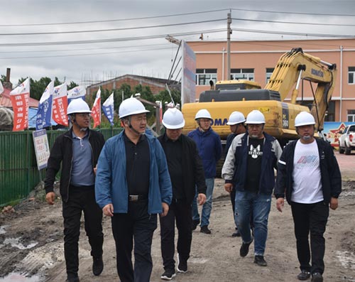 集團領導深入七臺河市桃山湖生態環保水利綜合治理PPP項目工地檢查指導工作
