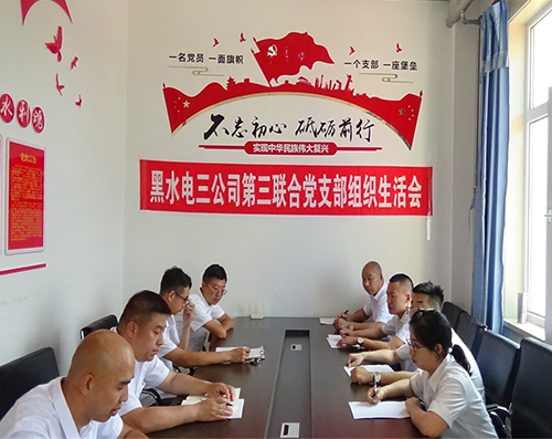第三聯合黨支部召開黨史學習教育專題組織生活會