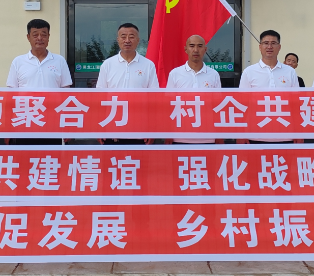 支部共建促發(fā)展 鄉(xiāng)村振興我來幫 第三聯(lián)合黨支部與勇進村支部共建活動