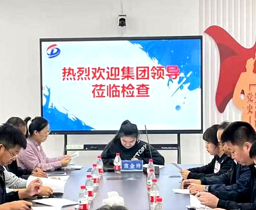 集團檢查組對訥河市學田鎮、孔國鄉黑土區侵蝕溝專項治理工程 進行ERP專項檢查